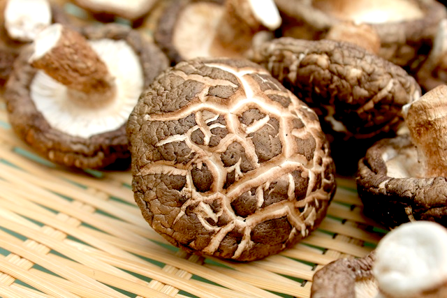  dried mushrooms online